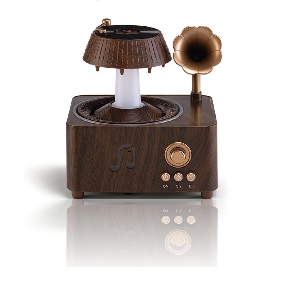 دستگاه رطوبت ساز و موزیکال V98